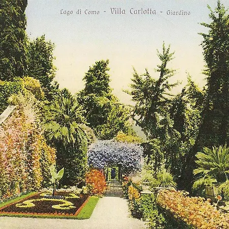 Victoria Carso